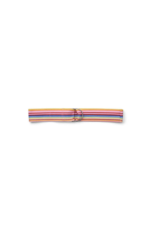 Hamilton Belt | Multi Colour